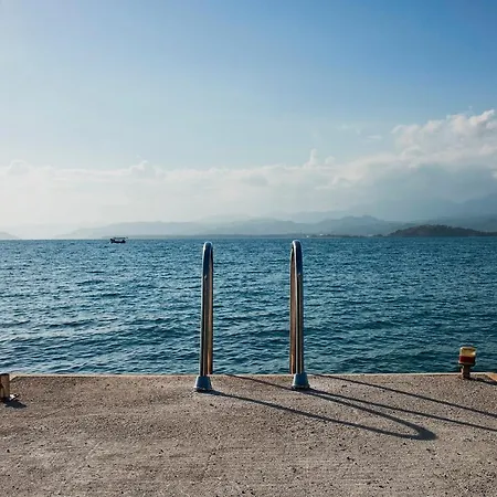 Ada Dreams / Island *